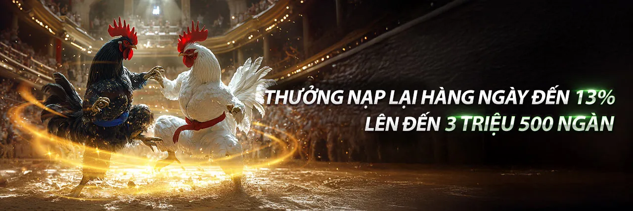 Chương Trình VIP 66vn nổ hũ